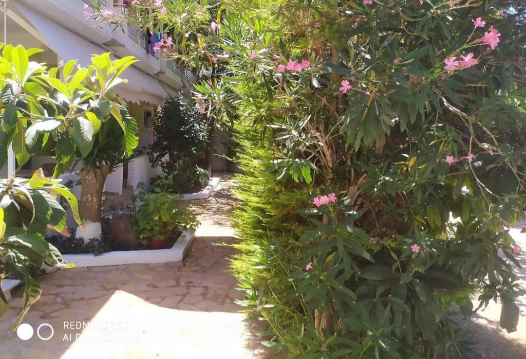 Kalamítsi Lenia Studios المظهر الخارجي الصورة