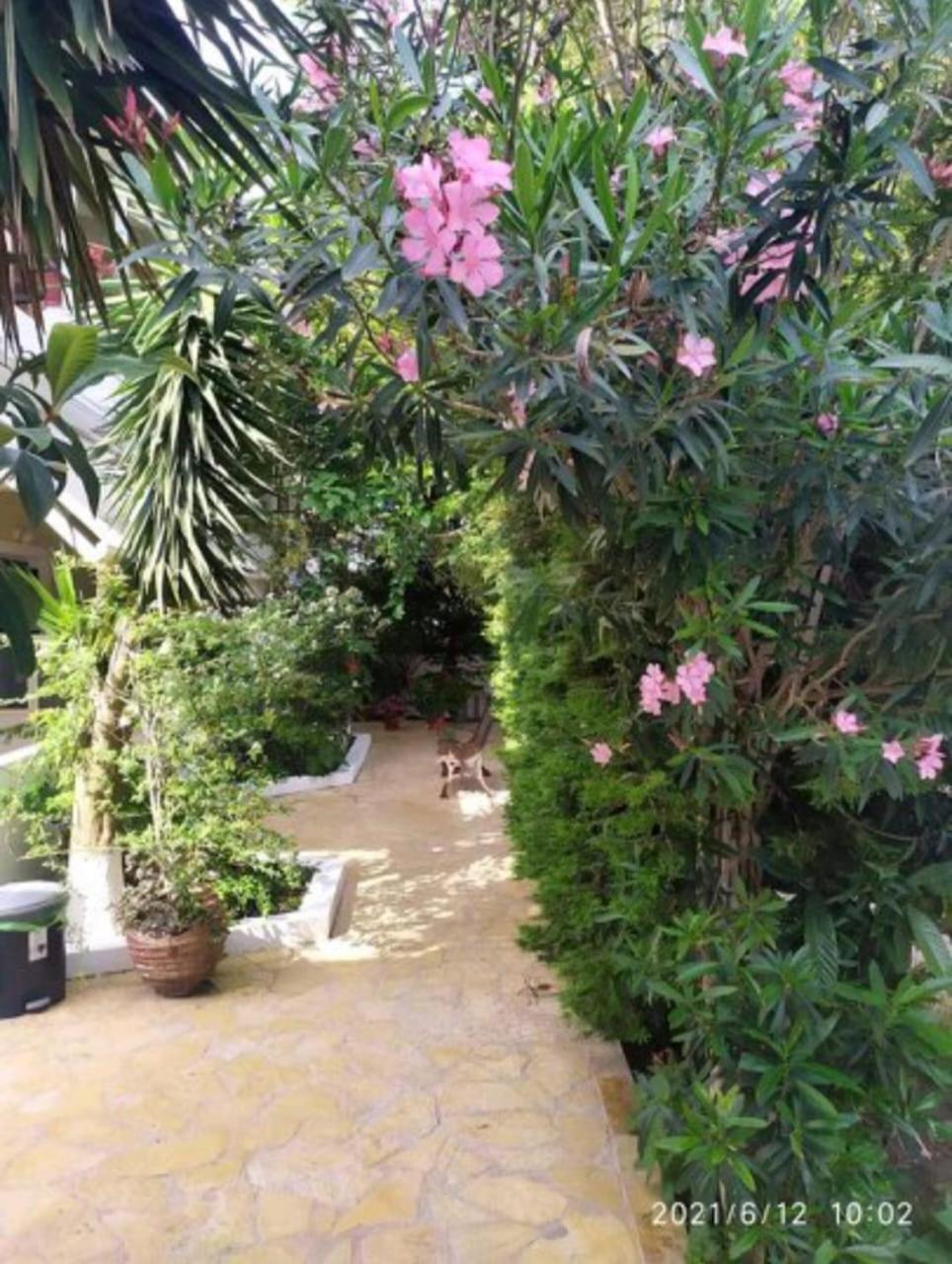 Kalamítsi Lenia Studios المظهر الخارجي الصورة